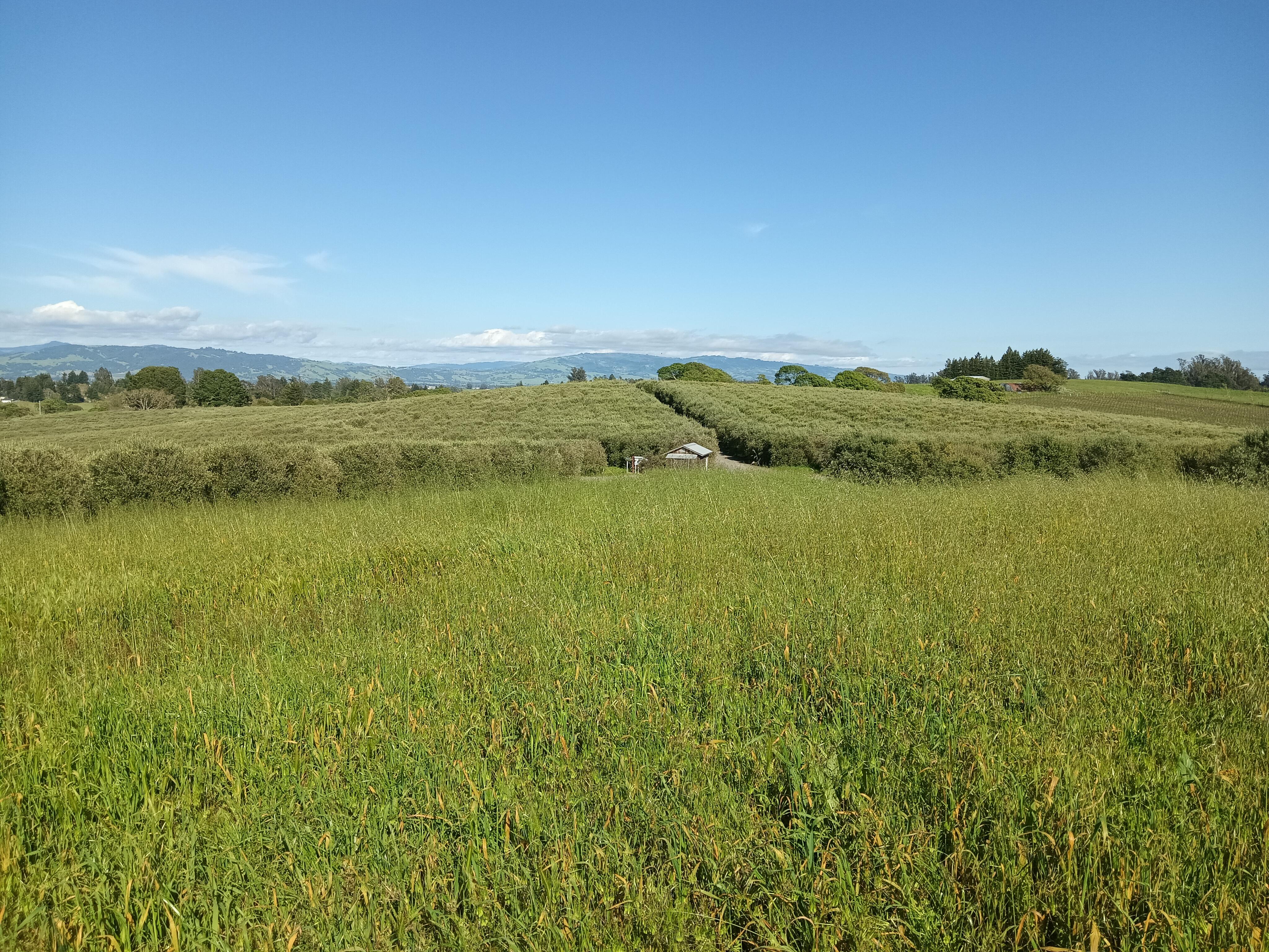 GoldRidge Farm1 USE THIS ONE