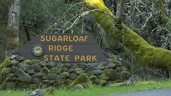 Sugarloaf sign