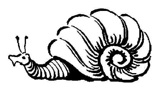 snail