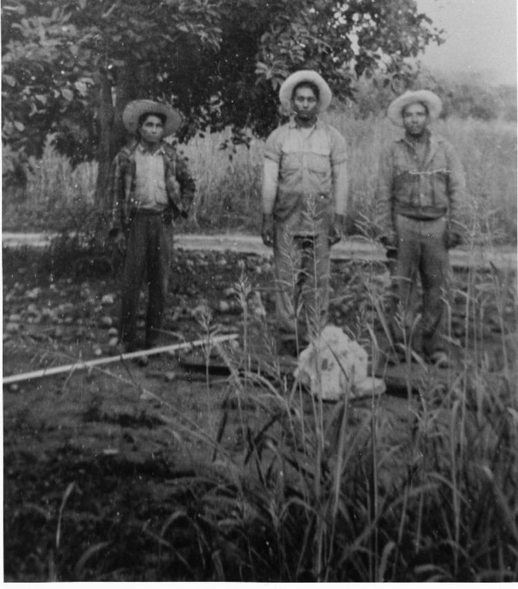 3braceros