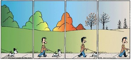 PatrickMcDonnellMutts