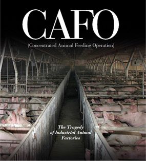 cafo_cover.jpg