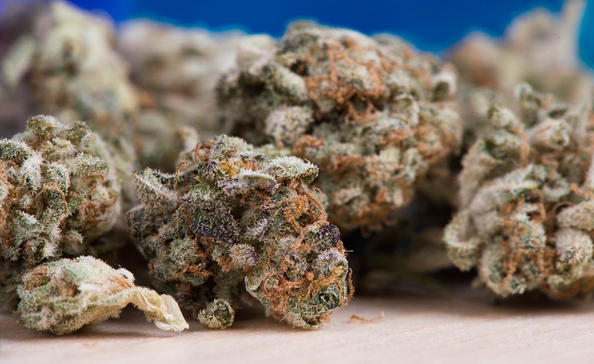 cannabis 2150543 1920