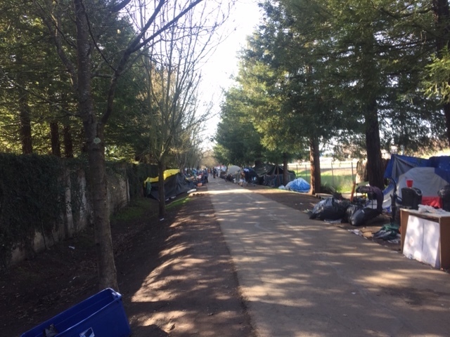 Rodota Trail