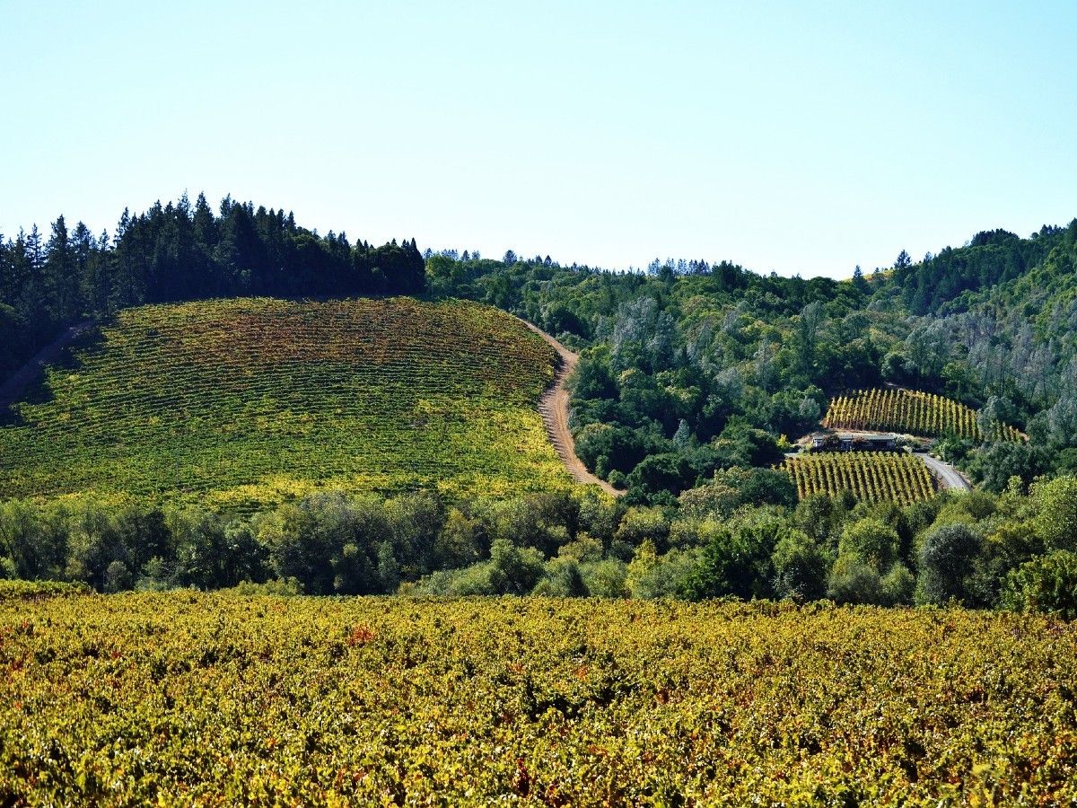 040320Sonoma