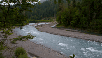 PG10 RIVERLASTCHANCE