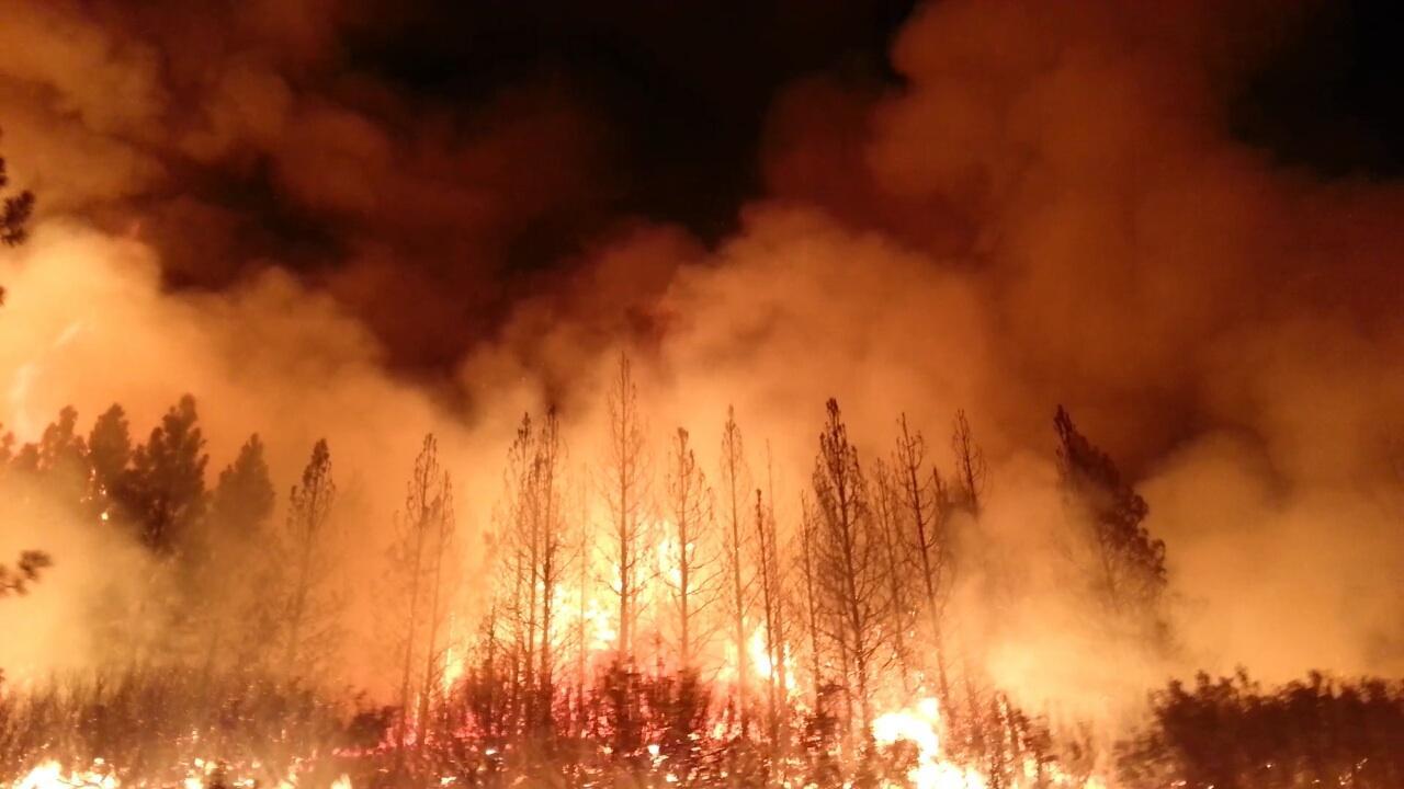 Wildfires