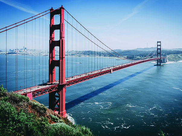 ConnetTheBay 603x452