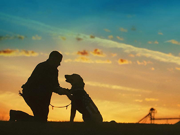 newleashonlife 603x452