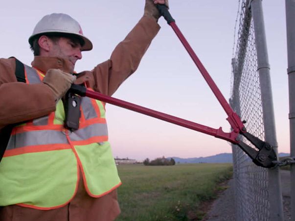 reluctantradical 603x452