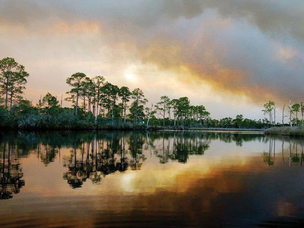 forgottencoast 603x452