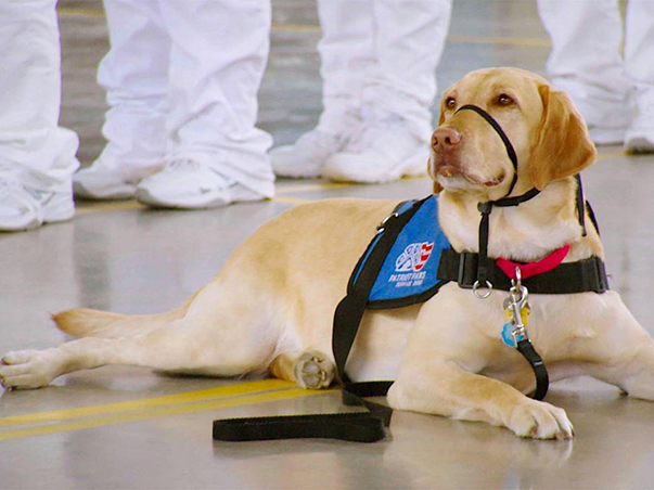 greatestbond 603x452