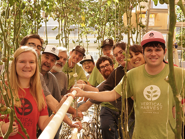 heartsofglass 603x452