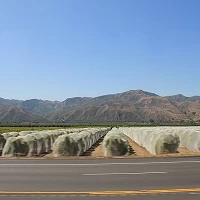 800px California Farm 222622145