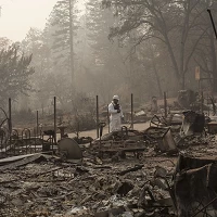 44162019920 7fe79b631d c