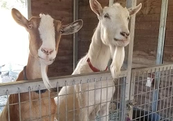 Redwood Empire Food Bank