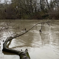 S2 05 Russian River Quietude 1