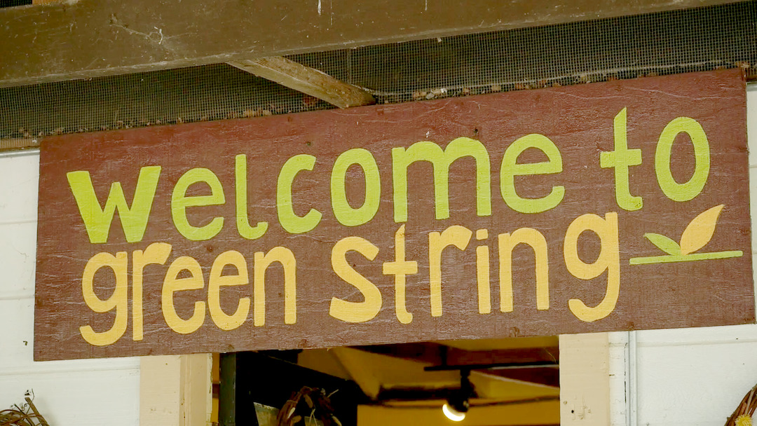 Green String Farm & Institute: Joining Farming and Education